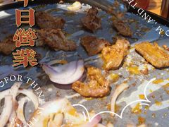 -胖记烤肉(湖大店)