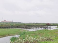 -碧海金沙