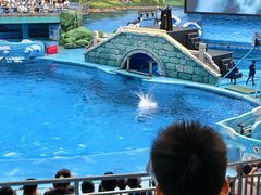 -海合安成都极地海洋公园