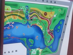 -杭州湾海上花田景区
