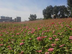 -长春世界雕塑园冰雪艺术天地