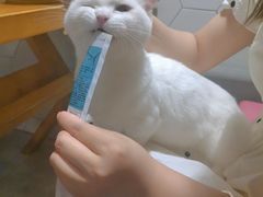 -有何Book(六堰体育馆店)