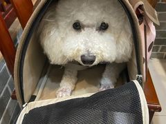 -呼吸森林·生态农庄农家乐私房菜