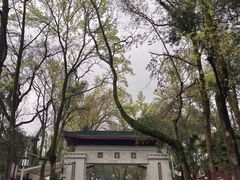 -湘力力小院·鱼汤泡饭(枫林路店)