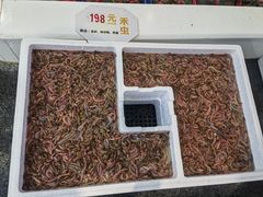 -益利大酒楼(井岸店)