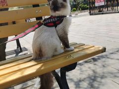 -兔途体检(十里堡青年路店)