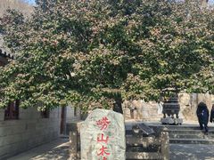 -青岛崂山太清宫