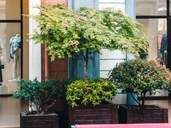 -王府井奥莱临潼小镇(临潼店)