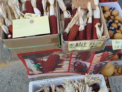 -中环花鸟鱼虫市场