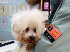 -瑞派宠物医院·中兽医专科(中央商城分院)