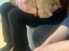 -全心全意动物诊疗中心医院(北苑店)