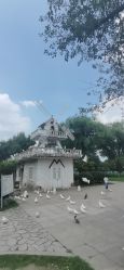 -玄武湖景区-情侣园游乐场
