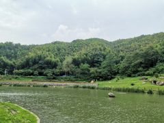 -梅岭月亮湾山体公园