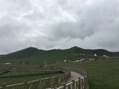 -黄河九曲第一湾