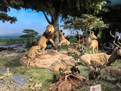 -国家自然博物馆