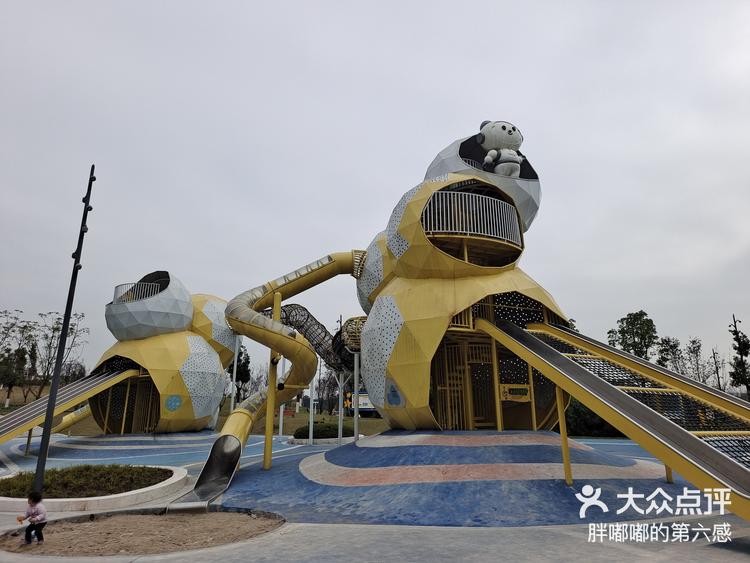 1月4日 2:56 关注 江津溜娃好去处 ##0元玩转这座城江津溜娃免费儿童