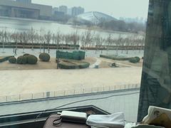 -羲和雅苑•北京烤鸭(乐园道万象城店)