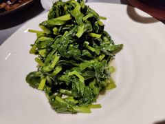 清炒豌豆尖-悦融琥珀·京鲁菜·海味珍品(西单店)