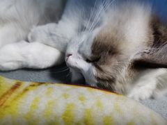 -零纪元VR体验馆·桌游(黄浦店)