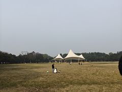 -石家庄市植物园