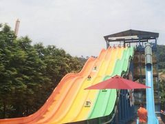 -重庆海昌加勒比海水世界