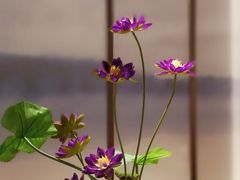 餐具摆设-新辣道鱼火锅(航天万源店)