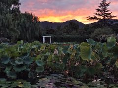 -国家植物园南园