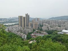 -福道