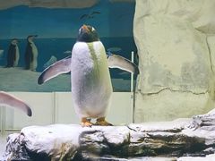 -华夏文旅西安度假区