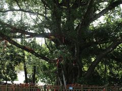 -梅州天地人花园酒店(梅县人民广场店)