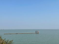 -贡湖湾湿地公园