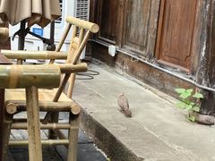 -见山书院