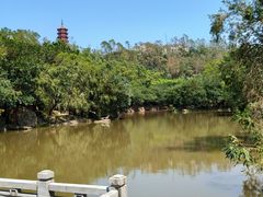 -大雁山风景区