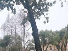 -上海孙中山故居纪念馆