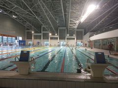 -奥林匹克体育中心游泳馆