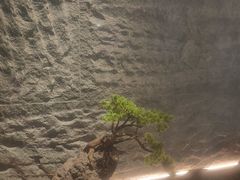-匠和风精致料理(宁德万达店)