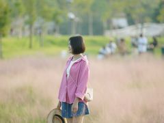 -王借岗森林公园