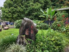 -中国科学院西双版纳热带植物园