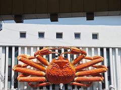 -蟹道乐(京都本店)