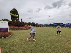 -东平国家森林公园