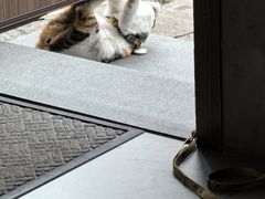 -Again Coffee Roaster(香蜜湖店)