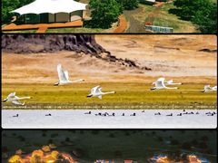 -五角枫生态旅游景区