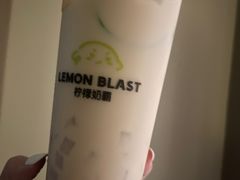-猫的魔法密林(衣裳街店)