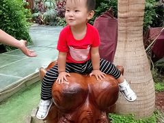-呀路古热带植物园