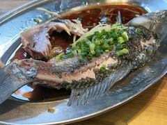 -桃姐农庄老字号(增城分店)