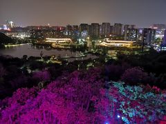 -飞凤山奥体公园