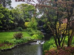 -海德公园