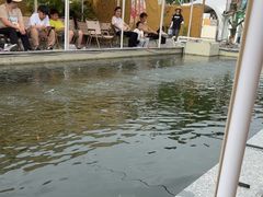 -DGE季风钓虾营地·团建·聚会