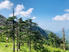 -秦岭风景区