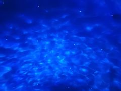 -哈尔滨波塞冬海底世界